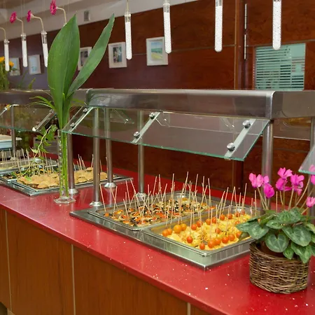 Bluesea Piscis - Adults Only Hotel Port de Alcudia (Mallorca)